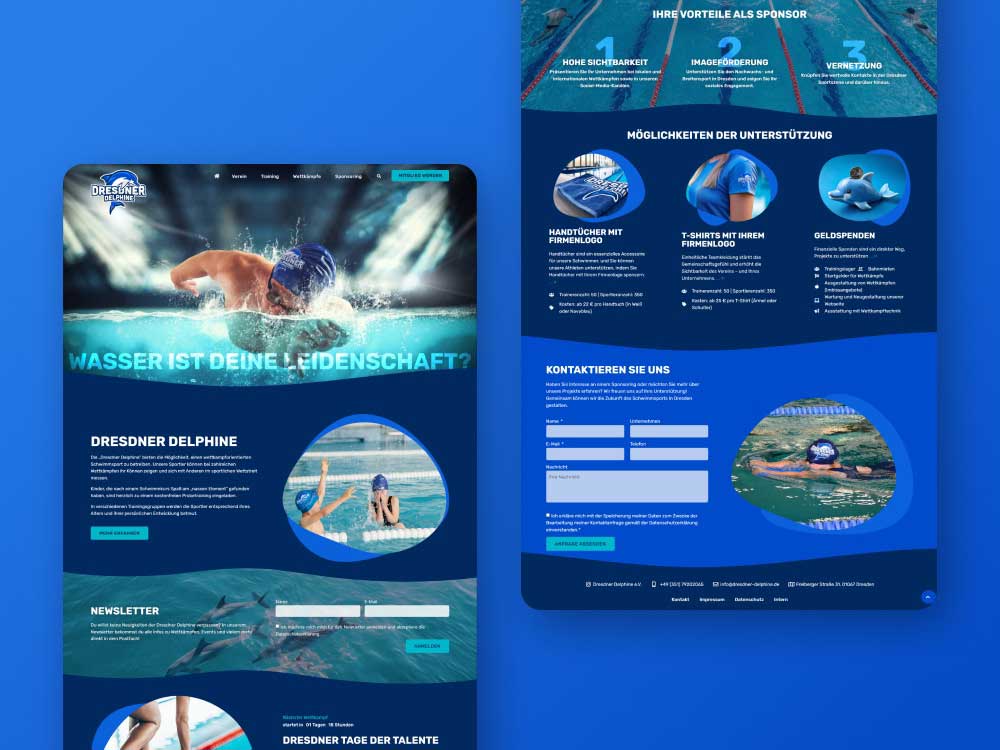 Webdesign Dresden: frische Farbwelt für Vereinsseite Webdesign Dresden für die Dresdner Delphine mit frischer Farbwelt